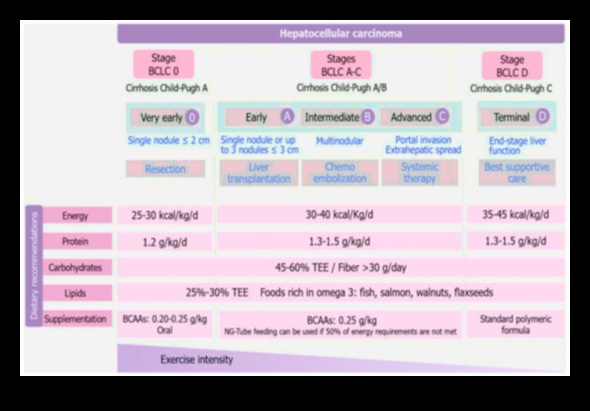 Αναπλήρωση αποθεμάτων: Υπερνίκηση των προκλήσεων διατροφικής ανεπάρκειας