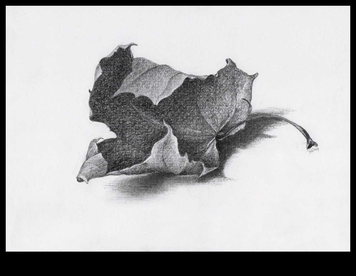The Delicate Beauty of Graphite Art 2 Graphite Whispers: Creating Soft and Delicate Pencil Art