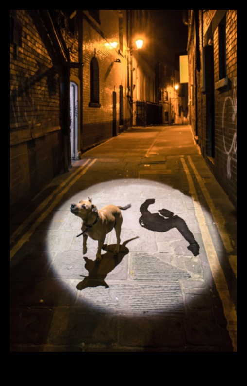 Δρόμοι και σκιές που παίζουν με το φως στα σχέδια της πόλης 2 Streets and Shadows: Playing with Light in City Drawings