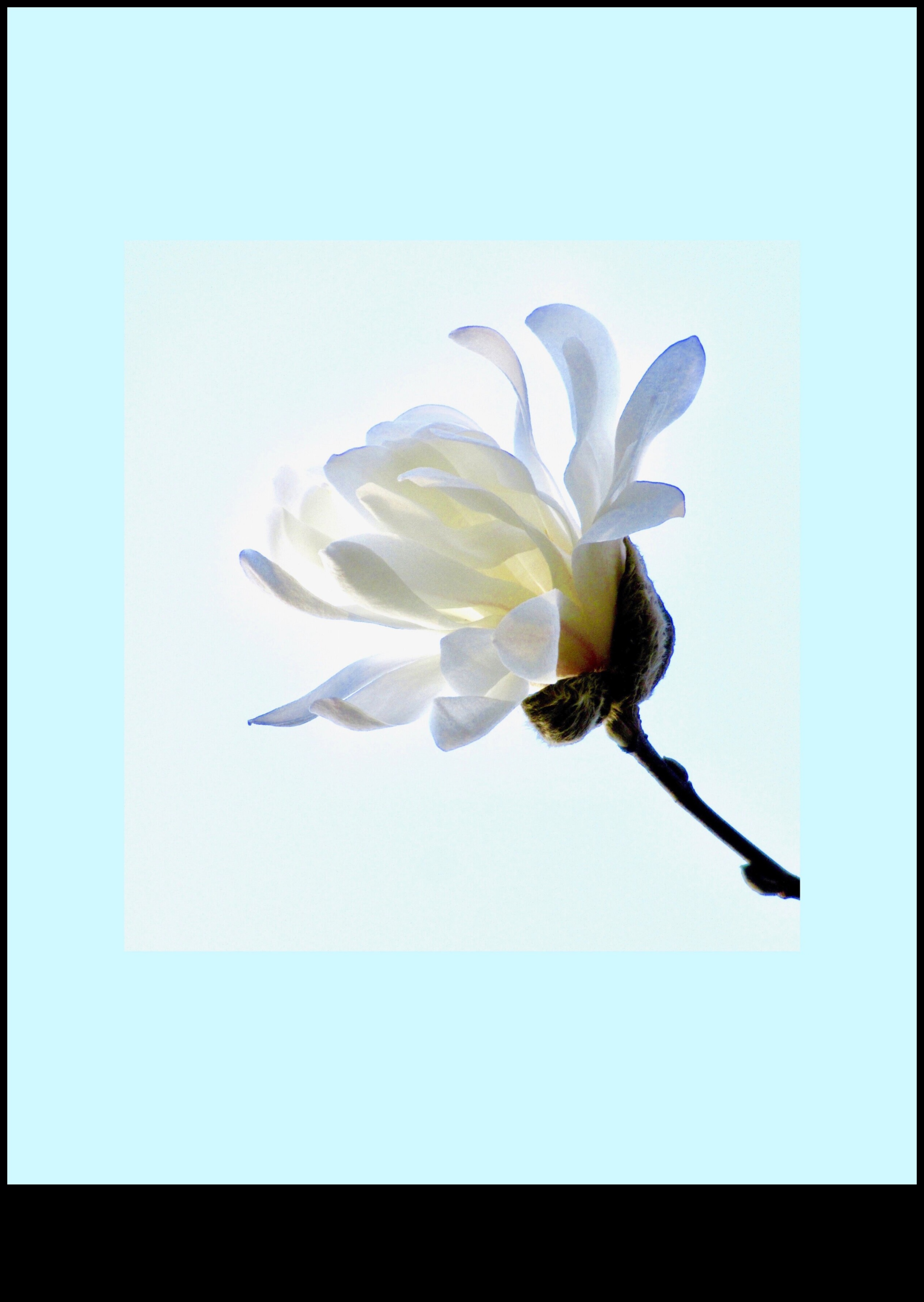 The Serenity of Stillness Σχεδιάζοντας αντικείμενα σε ηρεμία 5 The Serenity of Stillness: Drawing Objects in Rest