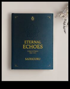 Eternal Echoes: A Comprehensive Meditation
