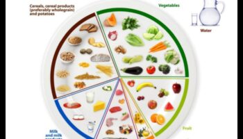 Nutrition Illuminated: Ρίχνοντας φως στο μονοπάτι σας προς την υγεία