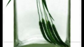 The Serenity of Stillness: Drawing Objects in Rest