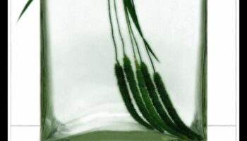 The Serenity of Stillness: Drawing Objects in Rest