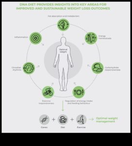 The DNA Diet Plan: Personalized Nutrition with Nutrigenomics