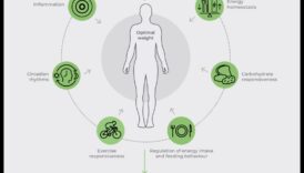 Αυτό το σύστημα διατροφής DNA ξεκλειδώνει το γενετικό σας μέσα για έλλειψη βάρους και βέλτιστη ευεξία 1 The DNA Diet Plan: Personalized Nutrition with Nutrigenomics