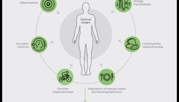 The DNA Diet Plan: Personalized Nutrition with Nutrigenomics